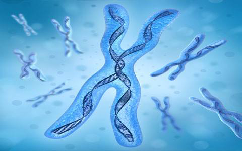 染色体异常会导致什么