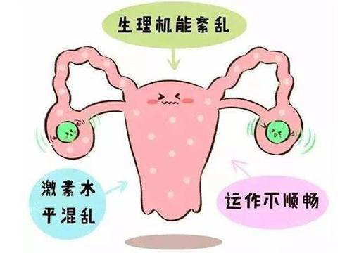 卵巢功能检查的方法
