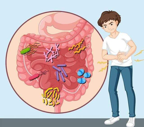 如何预防肠道疾病的发生