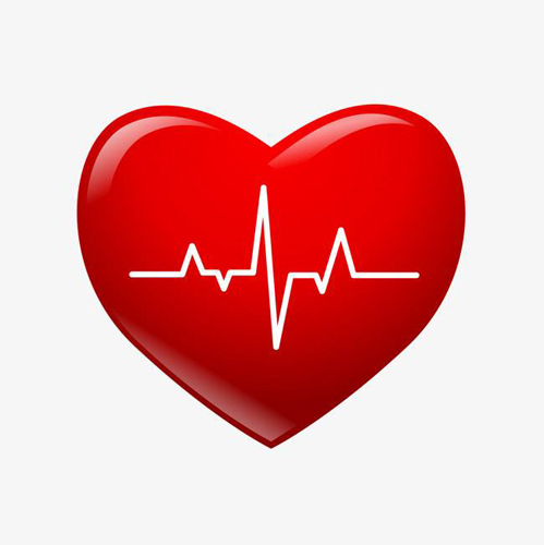 心电图和心脏彩超的区别