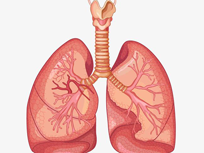 肺部毒素多应该怎么办？ 可坚持这4个动作来消清除！