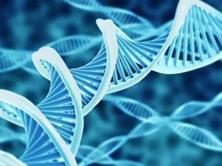 基因检测和普通查体有什么区别？
