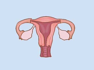 诊断子宫肌瘤有哪些检查方法？