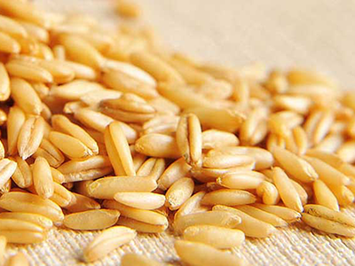 燕麦怎样吃最好、最营养？
