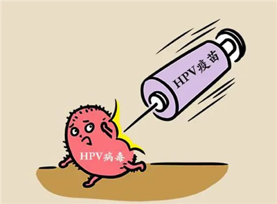 舟山hpv疫苗在哪里可以预约（安全可靠的预约平台）