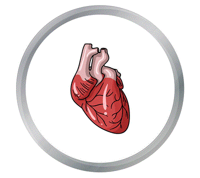 心脏不舒服了 该怎么选择体检项目呢