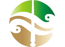 鹤壁市中医院体检中心logo