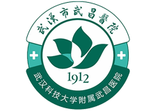 武汉市武昌医院体检中心logo