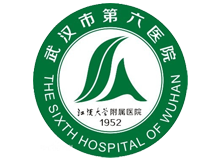 武汉市第六医院(江汉大学附属医院)体检中心logo
