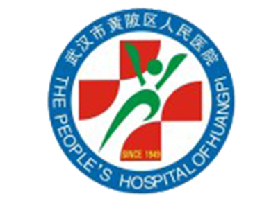 武汉市黄陂区人民医院体检中心logo