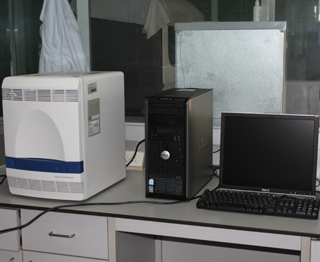 美国ABI7500全自动荧光定量PCR检测仪